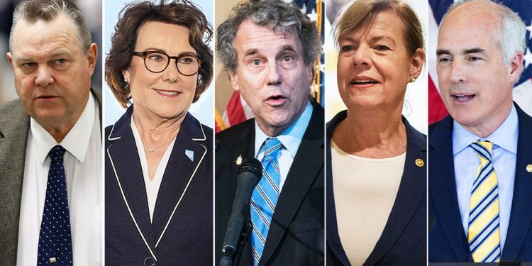 Vulnerable Democrats leave Biden high and dry after ‘disastrous’ debate performance