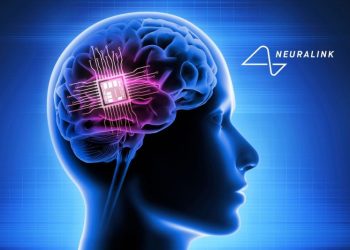 Can You Invest in Elon Musk’s Neuralink? (Updated 2024)