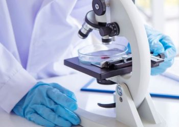 Oncology Stocks: 8 Biggest NASDAQ Companies in 2024