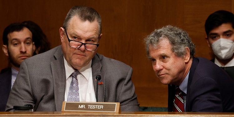 ‘Ongoing chaos’: Conservative group targets vulnerable Dem senators in scathing ad about key election issue