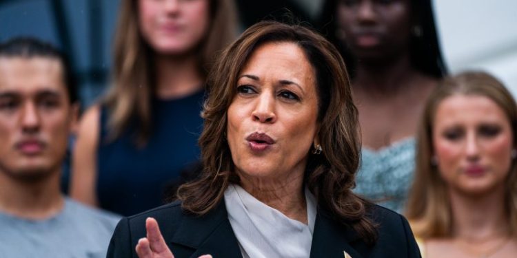 After Biden’s exit, Zoom led by Black women mobilized 44,000 for Harris