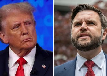 Trump campaign outlines key reasons why Vance was last man standing in VeepStakes: ‘Same ilk’