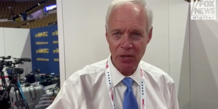 Vance’s past anti-Trump comments could sway on-the-fence Americans to vote red: Sen. Johnson