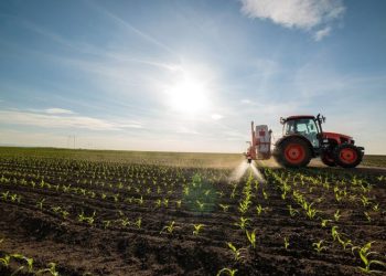 9 Phosphate Stocks to Watch (Updated 2024)