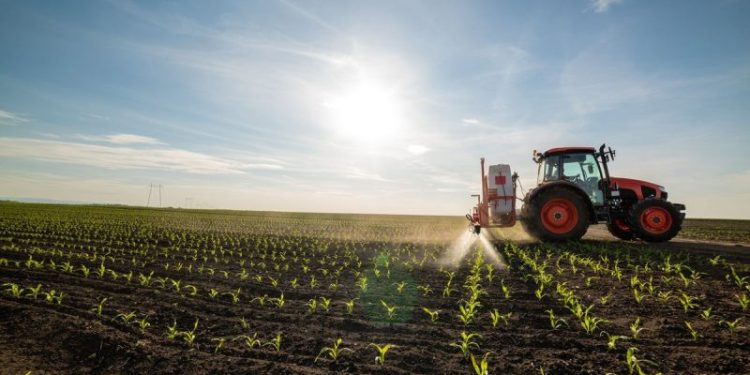 9 Phosphate Stocks to Watch (Updated 2024)