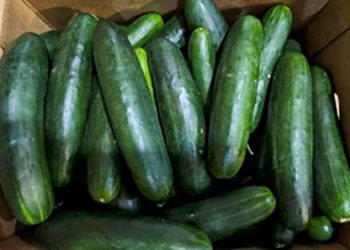 Recalled cucumbers linked to at least 449 illnesses have been pulled from stores, CDC says