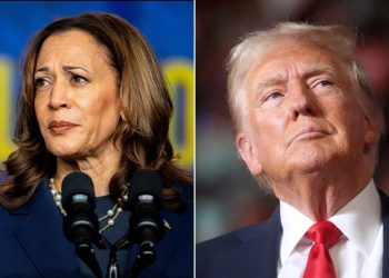 Democrats’ ads shift from Trump to abortion and economy with Harris as nominee
