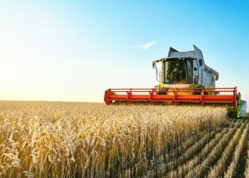 Top 10 Phosphate Countries by Production (Updated 2024)