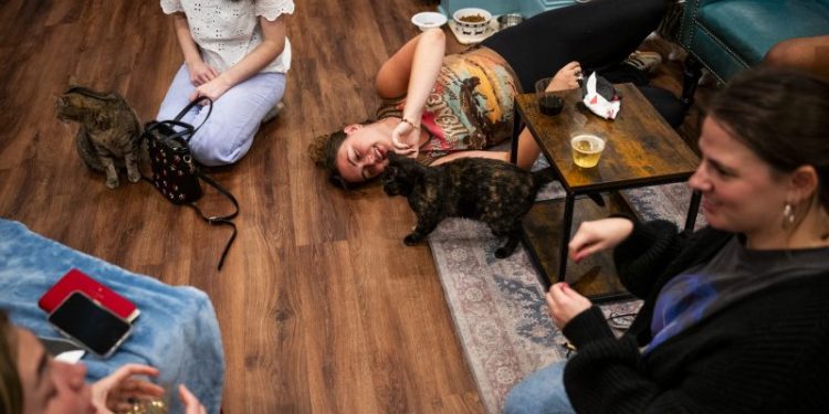 At one cat cafe, Vance’s ‘childless cat ladies’ remark prompts derision