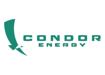 Appointment of Mr Serge Hayon as Managing Director