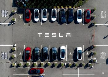 Tesla, Bitcoin and Truth Social boom in election aftermath