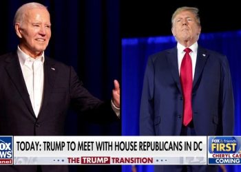 Donald Trump Jr ally Sergio Gor offered top White House personnel job: report