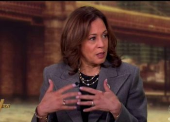 5 mistakes that doomed Kamala Harris’ campaign against Trump
