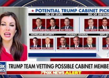 Republicans 2 seats away from House majority, giving Trump leeway to implement agenda