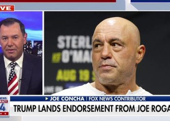 Inside how podcasters moved the voting needle with young men ahead of Trump’s massive win