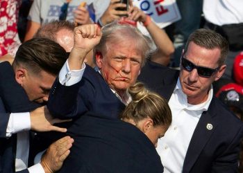 ALEX BERENSON: Why I’m voting for Donald J. Trump