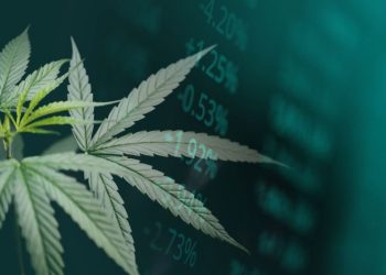 US Cannabis Sales Hit Record in October, Market Set to Reach US$55 Billion by 2030