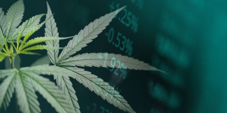US Cannabis Sales Hit Record in October, Market Set to Reach US$55 Billion by 2030