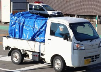 Bear attacks worker, ransacks meat section in Japan supermarket rampage