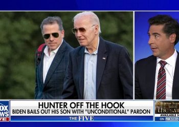 Dem Rep. Dean Phillips blasts Biden after Hunter pardon, says some people ‘are indeed above the law’
