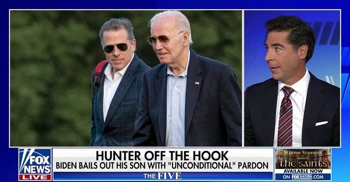 Dem Rep. Dean Phillips blasts Biden after Hunter pardon, says some people ‘are indeed above the law’
