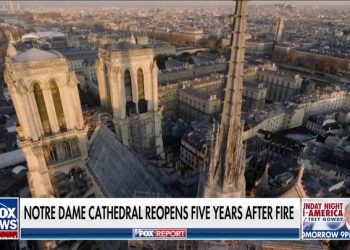 NEWT GINGRICH: Biden may be president but Trump is already leader of the free world