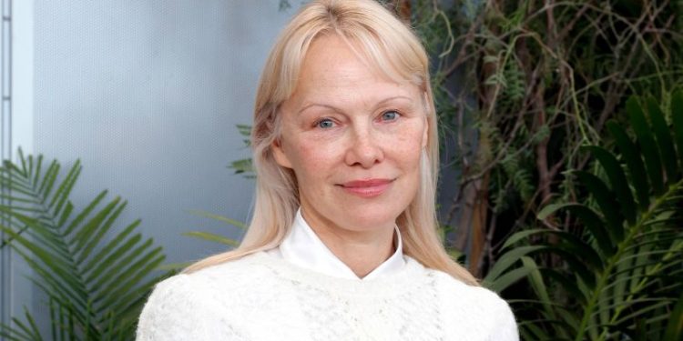 Pamela Anderson says she was confronted on plane by angry passenger who thought she was someone else