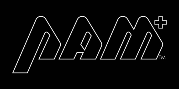 PAM Secures A$35 Million Capital Commitment Agreement Commitment Positions PAM to Deliver Significant Project Outcomes Company to be re-named Flagship Minerals Limited