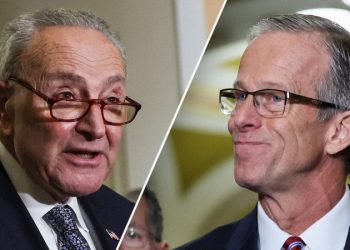 NEWT GINGRICH: The Trump-Johnson-Thune budget victory