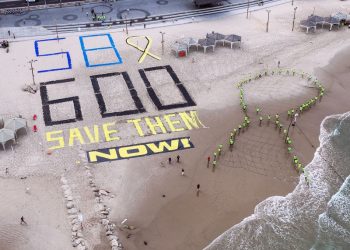 ‘It haunts me daily:’ Freed Israeli hostages fear for those still held captive by Hamas