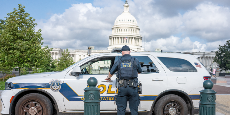 Scalise hints GOP may push nationwide crime crackdown after DC overhaul