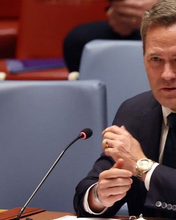 UN Security Council backs Trump’s Gaza peace plan after Waltz calls territory ‘hell on earth’