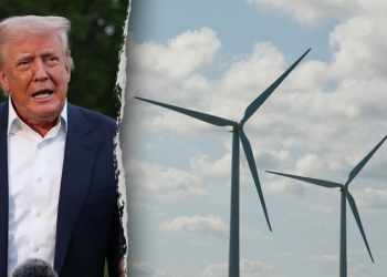 Trump admin pausing all off shore wind project construction due to national security concerns
