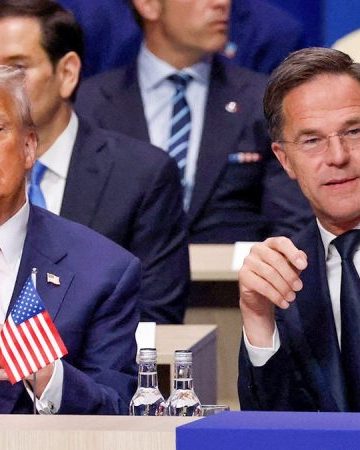 Trump says US should have tested NATO by invoking Article 5 over border security