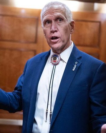 MIKE DAVIS: Red-state senators must pick up the pace to get Trump judges confirmed