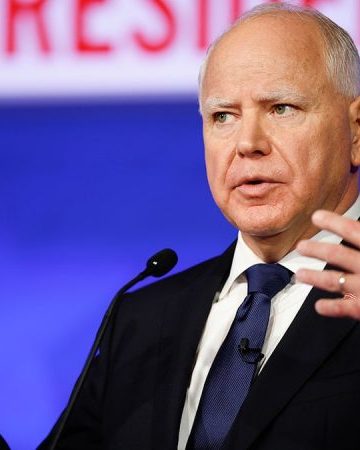 Minnesota GOP lawmaker urges Congress to press Walz at fraud hearing: ‘Real issues to deal with’