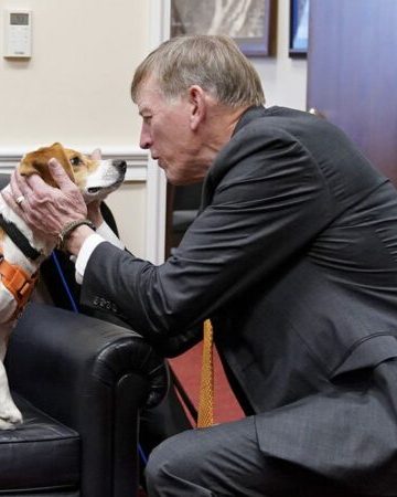 GOP targets transgender animal testing in defund demand to NIH